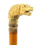 A MALACCA CANE, WITH CARVED BONE DOG'S HEAD HANDLE, BRASS TIP, 89CM