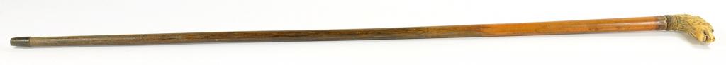 A MALACCA CANE, WITH CARVED BONE DOG'S HEAD HANDLE, BRASS TIP, 89CM - Image 2 of 2