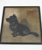 Cecil Aldin Scottie Dog Nonie, R.A.