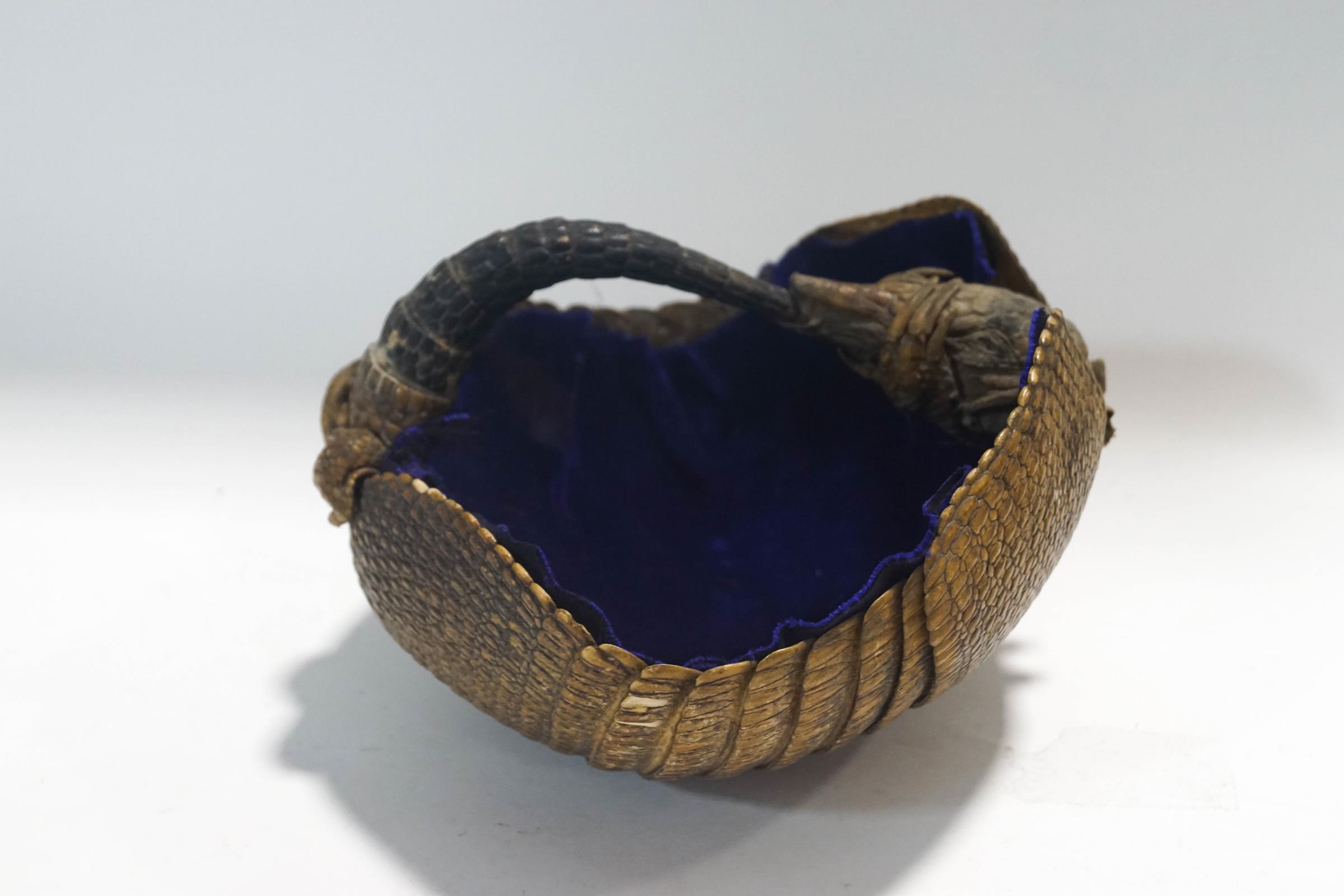 Taxidermy: an armadillo skin basket with a blue velvet lining