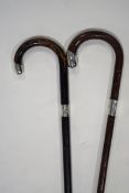 Two walking sticks with silver bands and tips,