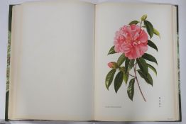 Beryl Leslie Urquhart, The Camellia, volumes one and two, bound in one, Leslie Urquhart Press,