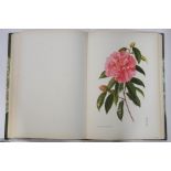 Beryl Leslie Urquhart, The Camellia, volumes one and two, bound in one, Leslie Urquhart Press,