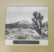 A quantity of mid 20th century educational black and white American topographical photographs,