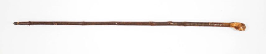 A cane with a carved parrot's head,