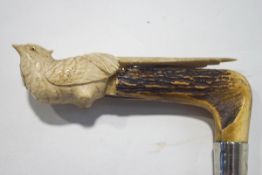 A walking stick with an antler and carved bone bird shaped handle