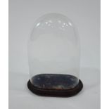 A Victorian glass dome, on a stand,