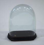 A Victorian glass dome, on a stand,