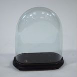 A Victorian glass dome, on a stand,