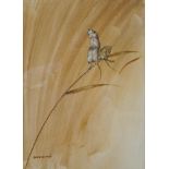 David Blake (Bristol Savages) Harvest Mice Watercolour signed lower left 35cm x 25.