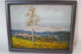 Padovani Landscape with silver birch tree Oil on board signed lower right 14cm x 19cm