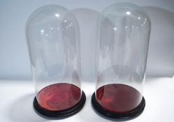 Two tall Victorian glass domes on wooden stands,