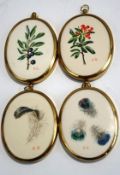 A set of four miniature oval watercolour studies of feathers and plants, monogrammed A.G.