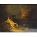 George Armfield (1808 - 1893) Two Terriers with a Rat Oil on canvas signed lower left 44.