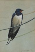 K Richardson (Contemporary) Swallow on a Wire Watercolour Signed and dated '86 24cm x 16cm