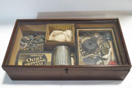 An early 20th century collectors cabinet with contents, including fossils and minerals,