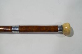 A mahogany walking cane with white metal bands and faux ivory knop