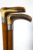 A pair of malacca walking sticks with horn handles and silver bands (one B'ham 1888)