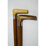 A pair of malacca walking sticks with silver bands and horn handles