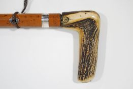 A Malacca walking stick with horn handle