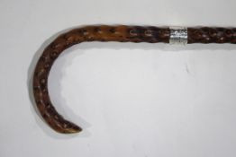 A walking stick with silver collar