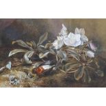 Lily S Poulton Still Life with a Dead Robin and Clematis Watercolour signed lower right 27cm x 40.