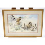 Noel William Cusa (1909 - 1990) Long Eared Owls Watercolour signed lower right 33.5cm x 50.