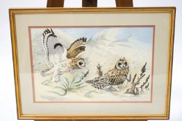 Noel William Cusa (1909 - 1990) Long Eared Owls Watercolour signed lower right 33.5cm x 50.