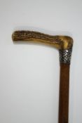 A walking stick with horn handle and woven silver band