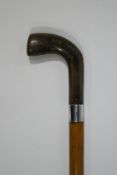 A heavy malacca walking stick with horn handle and 1" silver collar,