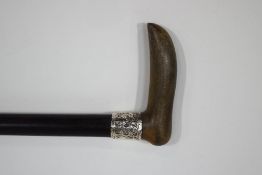 A walking stick with horn handle and 1" silver collar (date rubbed)
