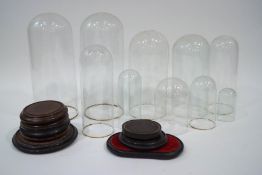 Ten various glass domes and eight associated bases