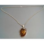 An amber pendant, with Polish marks,
