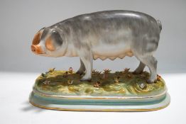 A Continental figure of a pig, on floral encrusted base,