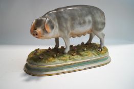 A Continental figure of a pig, on floral encrusted base,