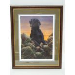 Nigel Hemming Black Labrador Limited edition print,