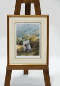 Steven Townsend 'Westie' Limited edition Print Signed and numbered in pencil 398/450 41.