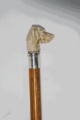 A cane with bone dog's head knop and collar marked 'Silver'
