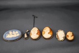 A collection of four shell cameo brooches,