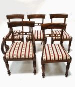 A set of five William IV mahogany dining chairs, the back rails with carved rosettes,