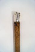 A Malacca walking cane with 2" silver top (rubbed)