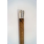 A Malacca walking cane with 2" silver top (rubbed)