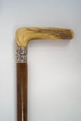 A malacca walking stick with horn handle and embossed white metal collar.