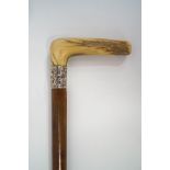 A malacca walking stick with horn handle and embossed white metal collar.