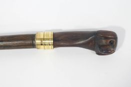 A walking cane with dog's head knop
