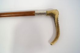 A malacca walking stick with 2" silver collar (rubbed)