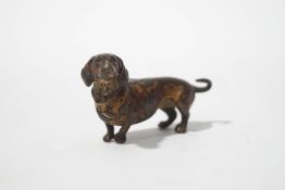 An Austrian cold painted figure of a dachshund, wearing a collar, un-marked, 6cm long.