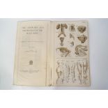 Bailliere's Popular Atlas of the Anatomy and Physiology of the Male Human Body, by Hubert E J Biss,