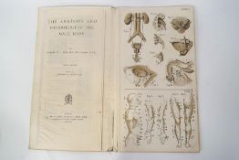 Bailliere's Popular Atlas of the Anatomy and Physiology of the Male Human Body, by Hubert E J Biss,