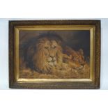 Sybal Parker 'Lions' Oil on canvas Signed lower left 48cm x 69cm